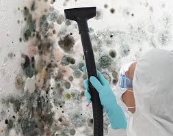 Best Mold Damage Restoration  in Gwinn, MI